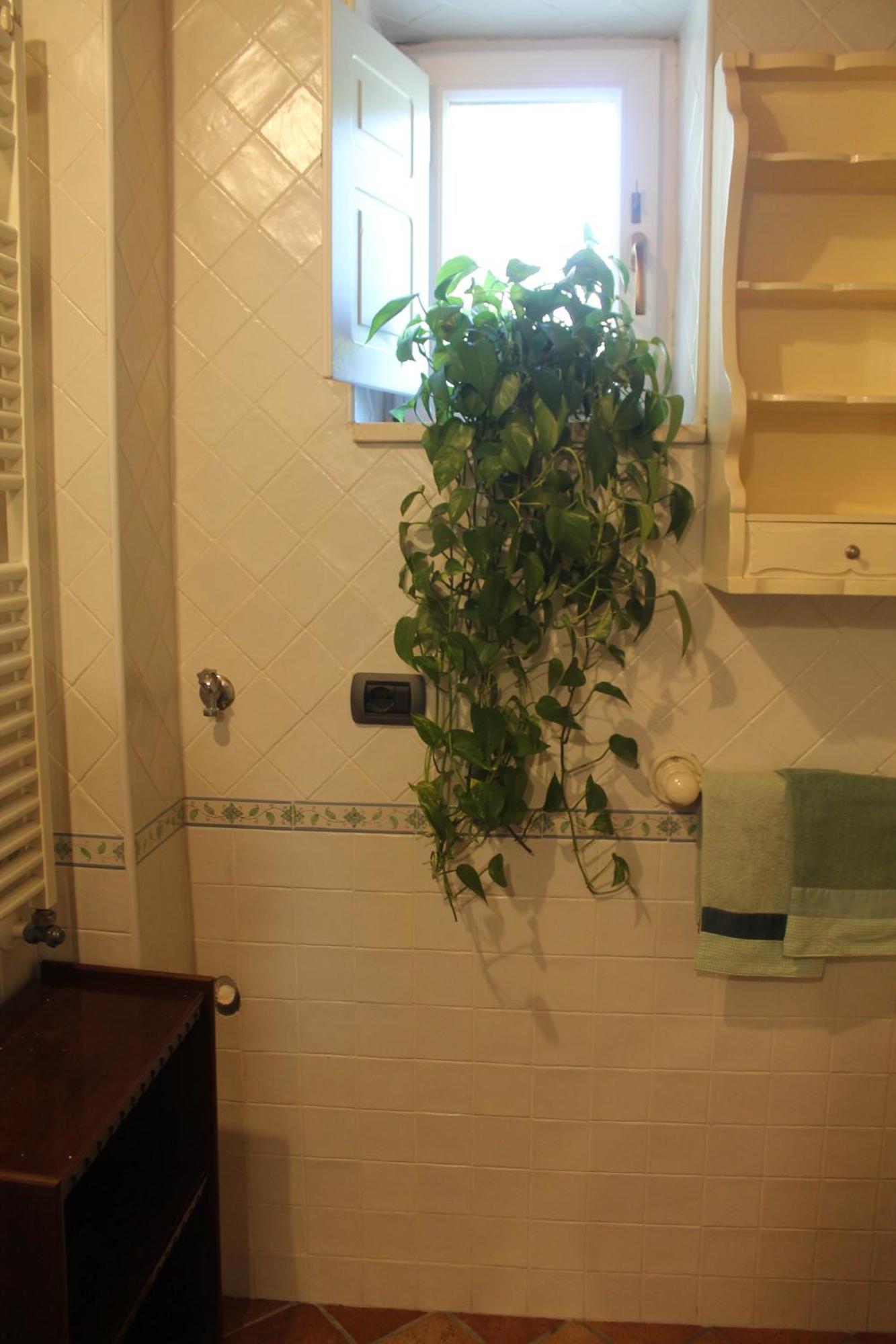 La Magnolia Locazione Breve Apartment Cava De' Tirreni Exterior photo